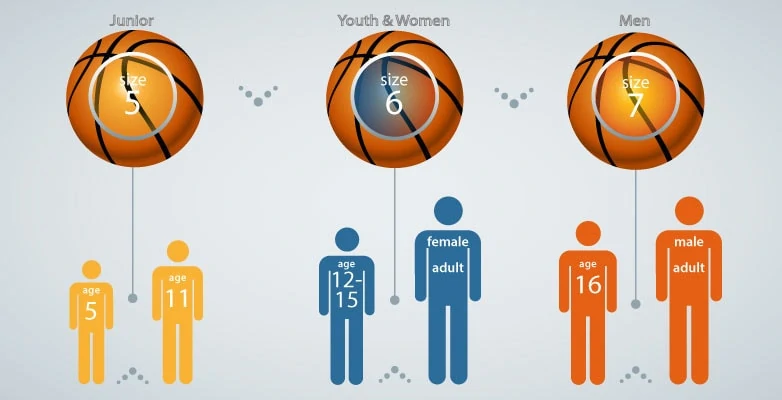 Basketball Sizes Chart: What Size Ball Should a Player Use?