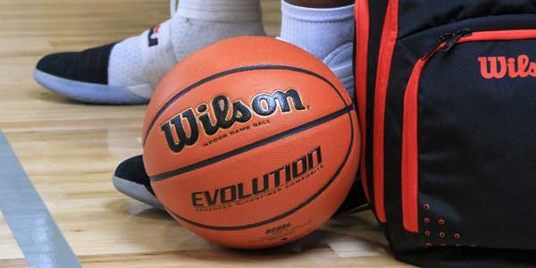 Wilson Evolution Indoor Basketball Review